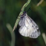 Détecter les menteurs en entretien commercial