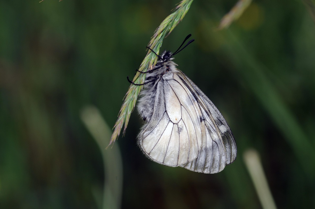 Détecter les menteurs en entretien commercial