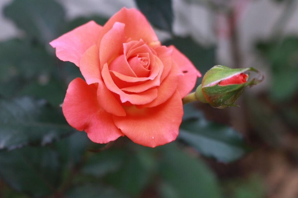 découvrez tout ce qu’il faut savoir sur la commission de vente : définition, calcul, avantages pour les commerciaux et conseils pour optimiser vos performances commerciales.