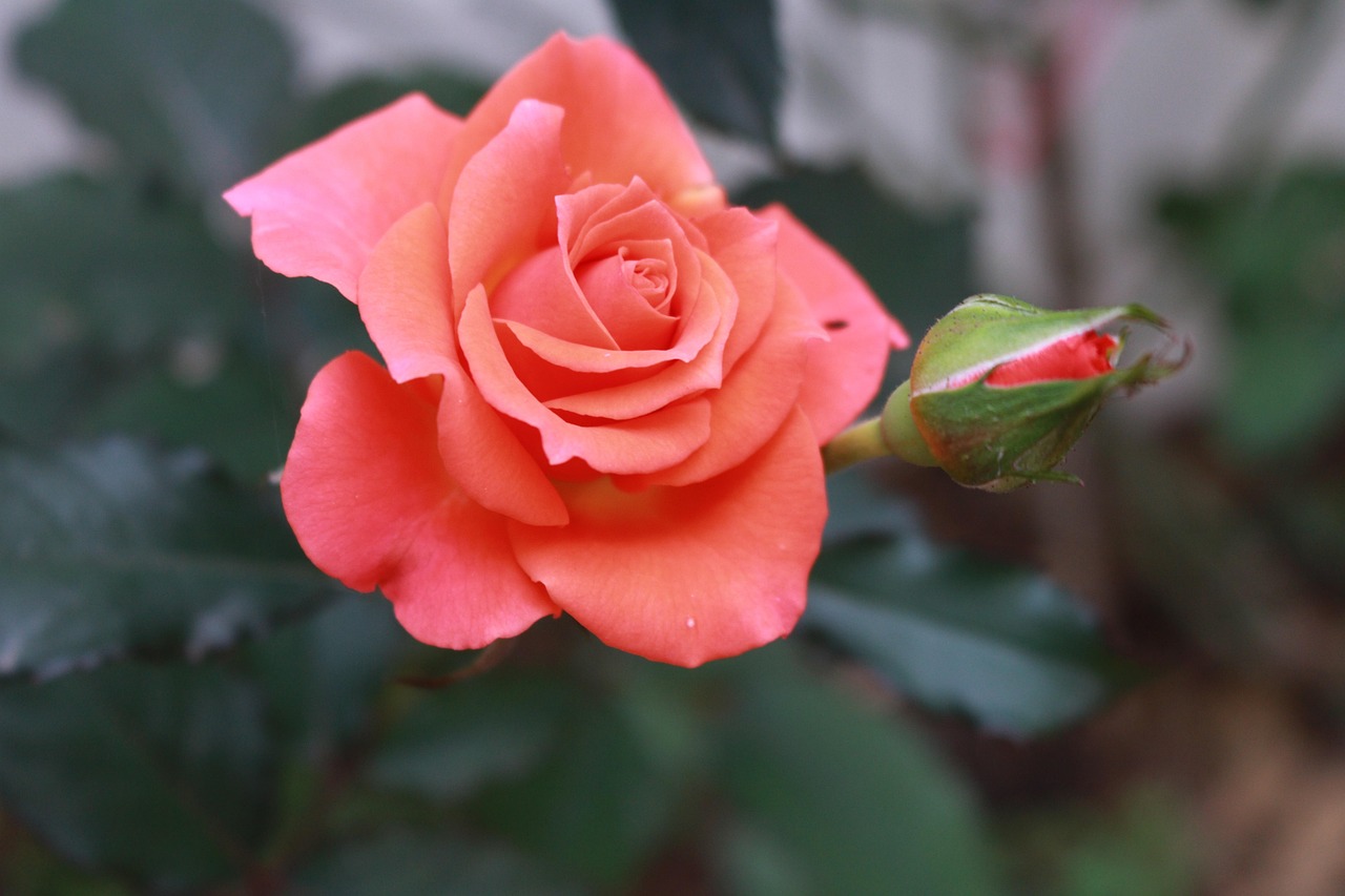 Commission commerciale : calcul et optimisation