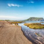 Salaires commerciaux par secteur : comparatif PACA