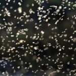 Budget recrutement commercial : ROI et coûts cachés