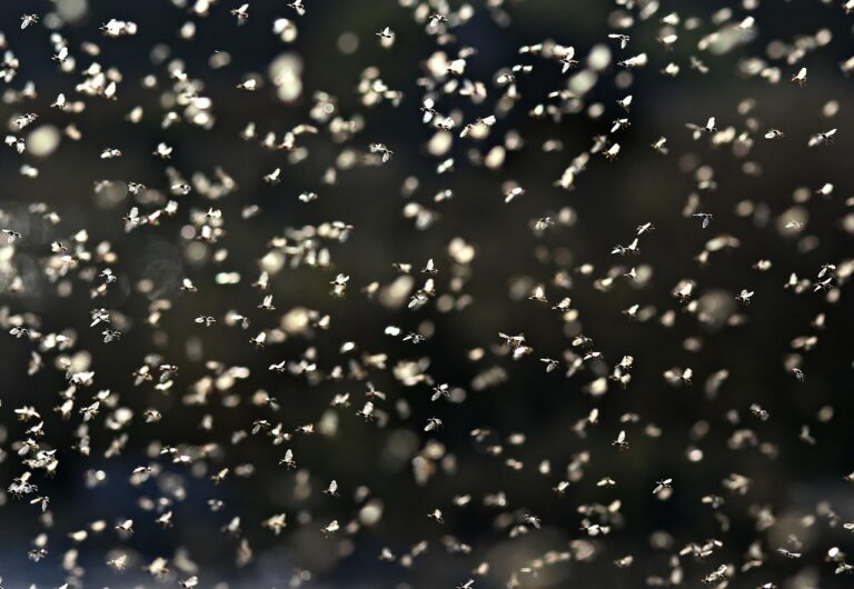 Budget recrutement commercial : ROI et coûts cachés