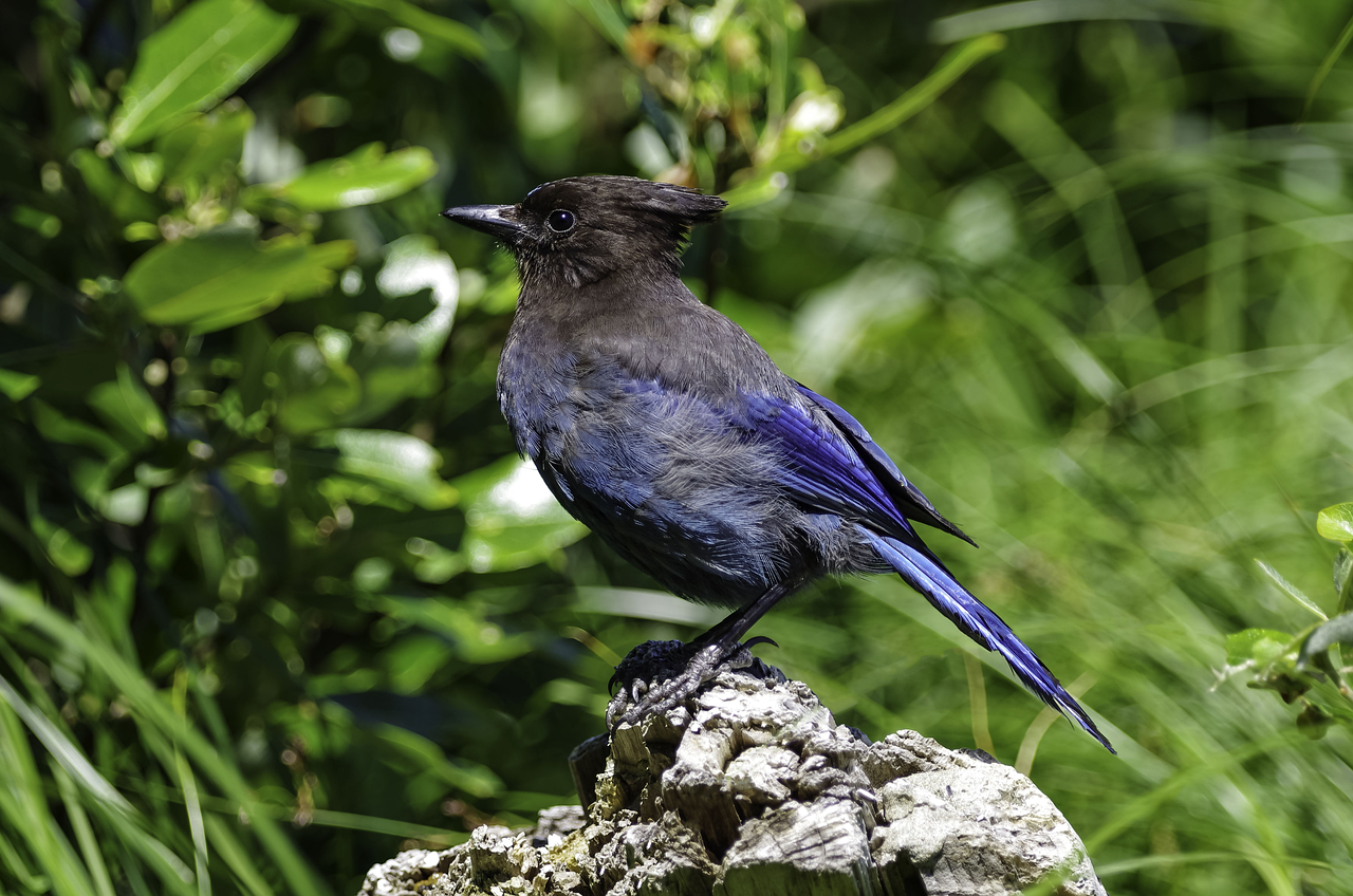 optimisez votre recrutement commercial pour un retour sur investissement maximal grâce à des stratégies efficaces et ciblées.