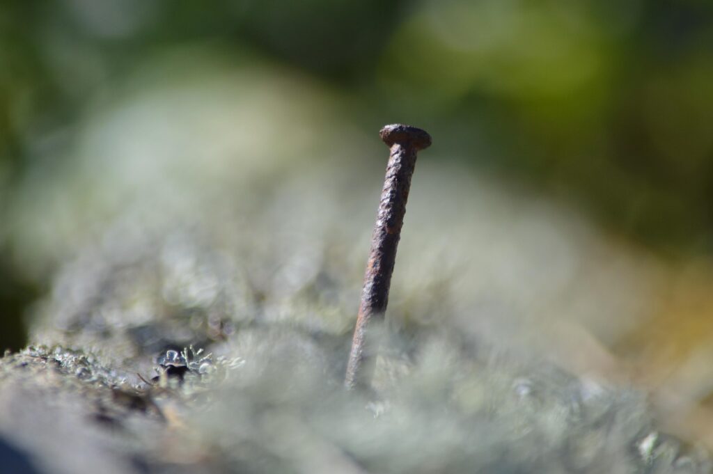 découvrez des conseils pratiques et des stratégies efficaces pour réussir vos négociations salariales et obtenir le salaire que vous méritez.